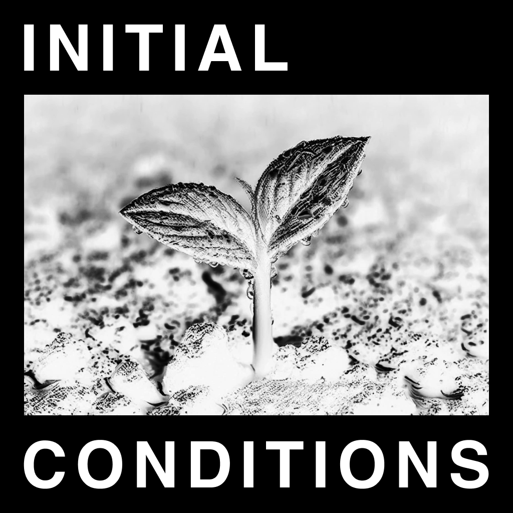 Initial Conditions